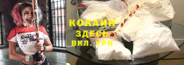 стафф Армянск