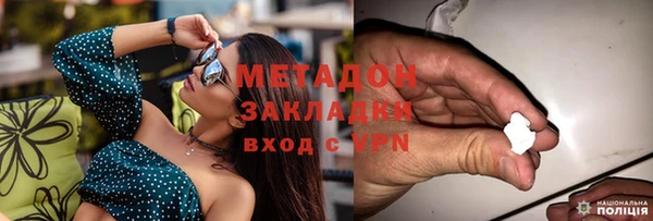 индика Арсеньев