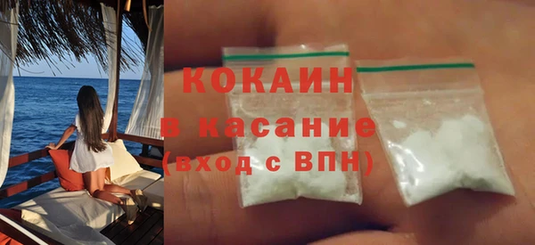 индика Арсеньев