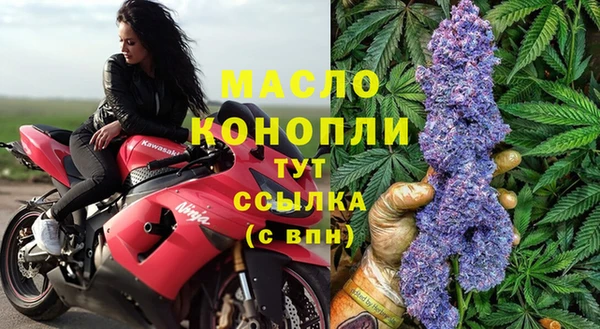 индика Арсеньев