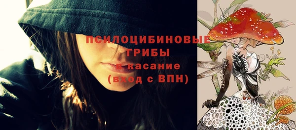 эйфоретик Аркадак