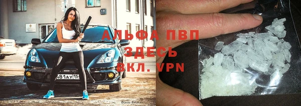 эйфоретик Аркадак
