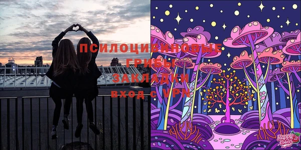 стафф Армянск