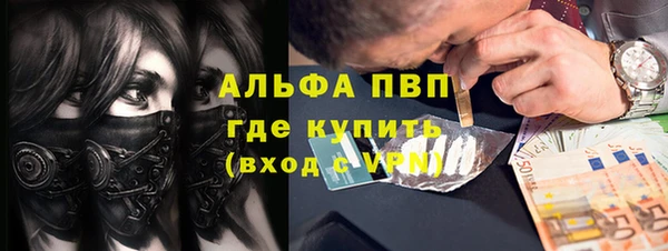 эйфоретик Аркадак