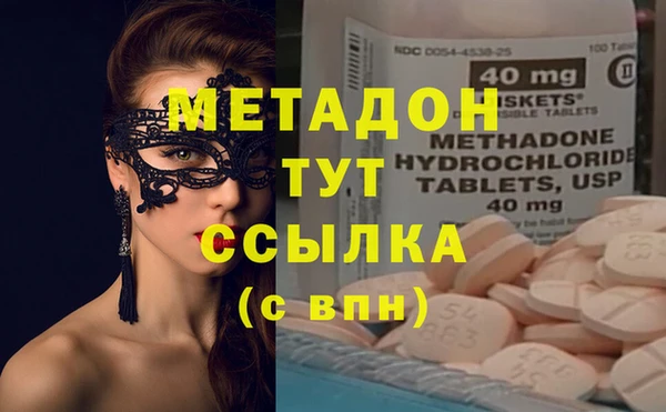 индика Арсеньев