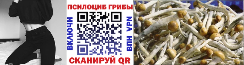 Псилоцибиновые грибы MAGIC MUSHROOMS  хочу   Тара 