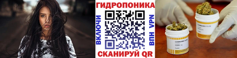 наркота  Тара  Конопля гибрид 